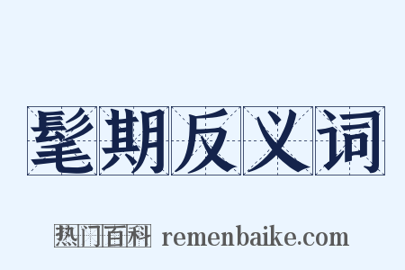 髦期反义词是什么意思的图片